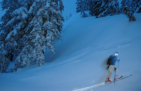 seymour night touring